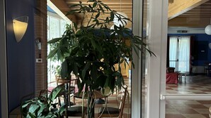 A modern interior with a large potted plant, wicker furniture, and a checkered floor. - Hotel Due Torri Tempesta (Noale)