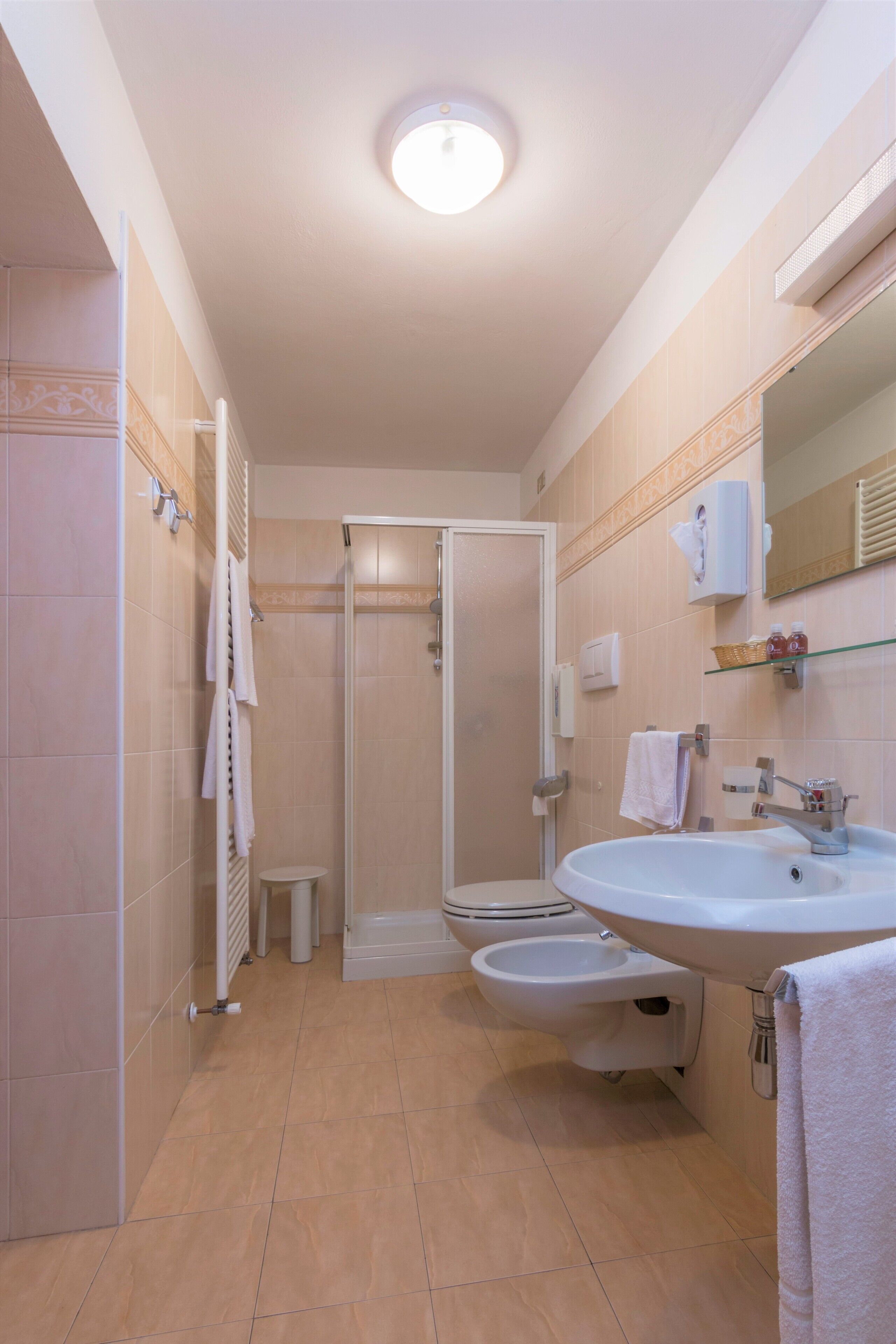 shower, free toiletries, hair dryer, slippers