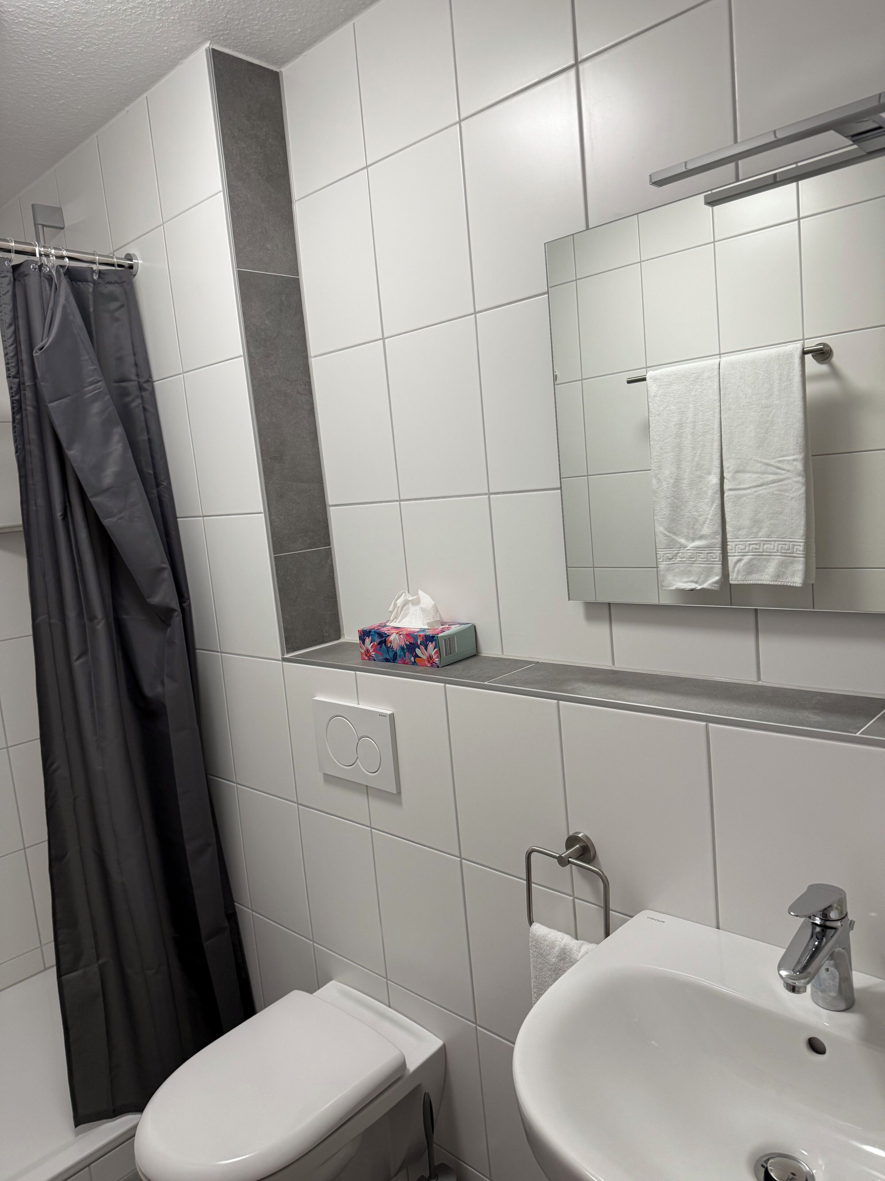 Ein Badezimmer mit Toilette, Waschbecken, Spiegel und Duschvorhang.
