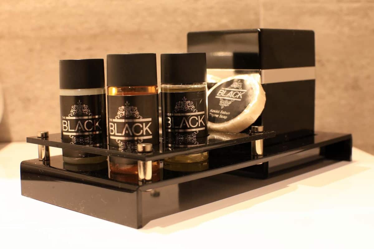 shower, free toiletries, hair dryer, slippers