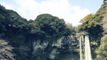 Exterieur