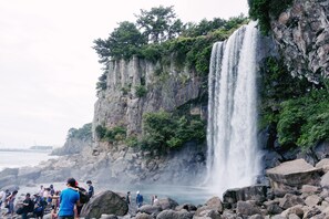 Ein Wasserfall stürzt über eine felsige Klippe, umgeben von üppigem Grün.