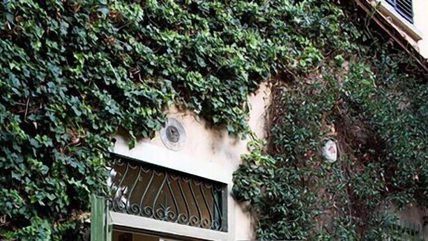 A building entrance with a green door and a glass door, surrounded by greenery and a large potted plant with flowers. - B&B Casa Schlatter (Florence)