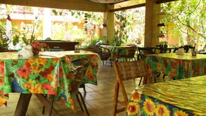 Un patio al aire libre con mesas cubiertas con manteles florales, sillas de mimbre y plantas en macetas.