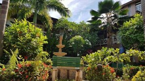 Un exuberante jardín con una fuente central, rodeado de follaje denso y palmeras.
