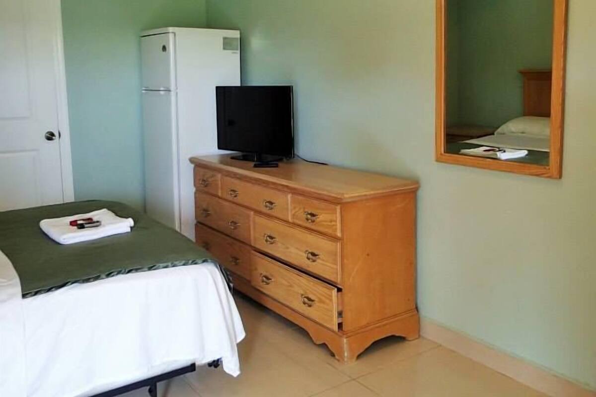 A bedroom with a bed, a dresser, a television, a mirror, and a refrigerator.