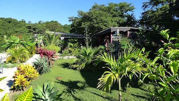 Vista al jardín