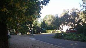 Un camino de acceso residencial con un árbol a la izquierda, un coche rojo estacionado a la derecha y un cielo despejado.