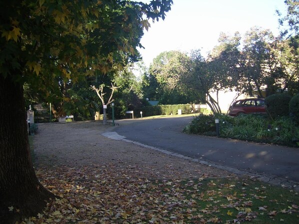 A residential driveway with a tree on the left, a red car parked on the right, and a clear sky.