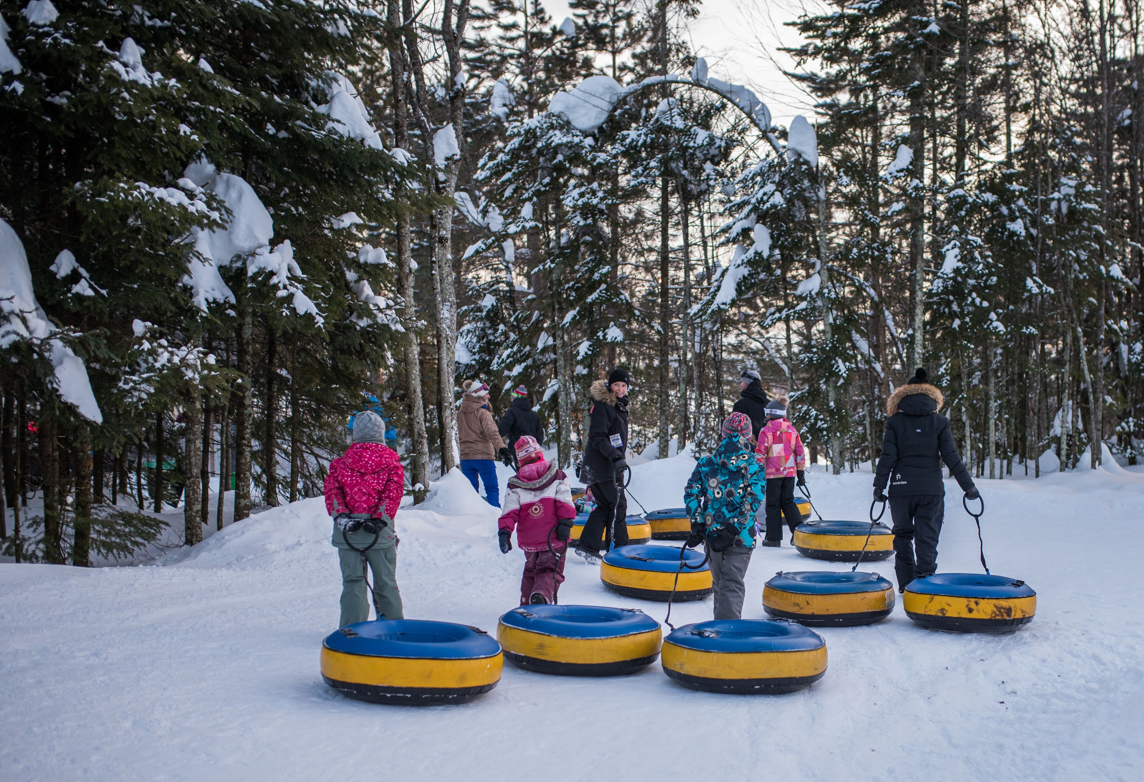 A group of people using snow tubes in a snowy forest setting.