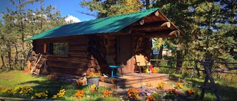 Deluxe Cabin, Mountain View, Mountainside