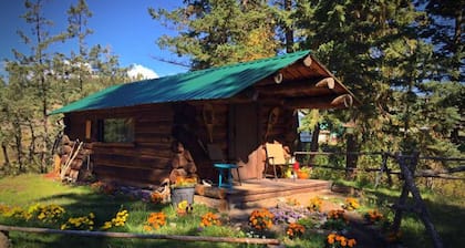 YD Guest Ranch