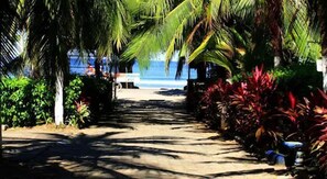 A pathway leading to a beach with palm trees and tropical plants. - Cabinas Marielos (Tamarindo)