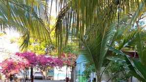 A paved pathway lined with lush greenery and a pink flowering plant. - Cabinas Marielos (Tamarindo)