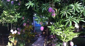 Garden - Cabinas Marielos (Tamarindo)