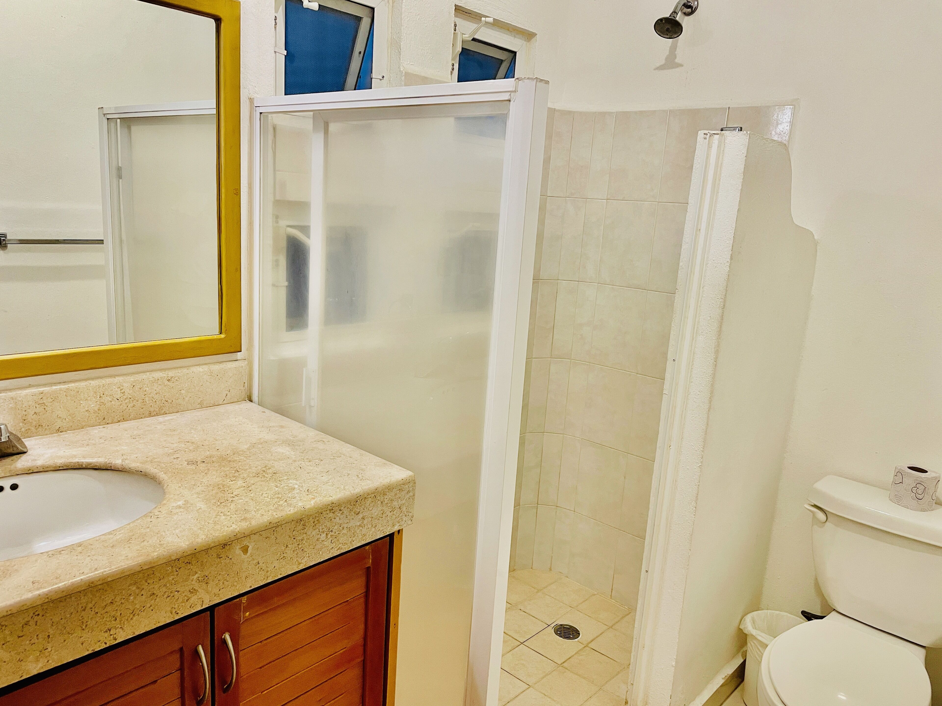 A bathroom with a sink, mirror, shower, and toilet.