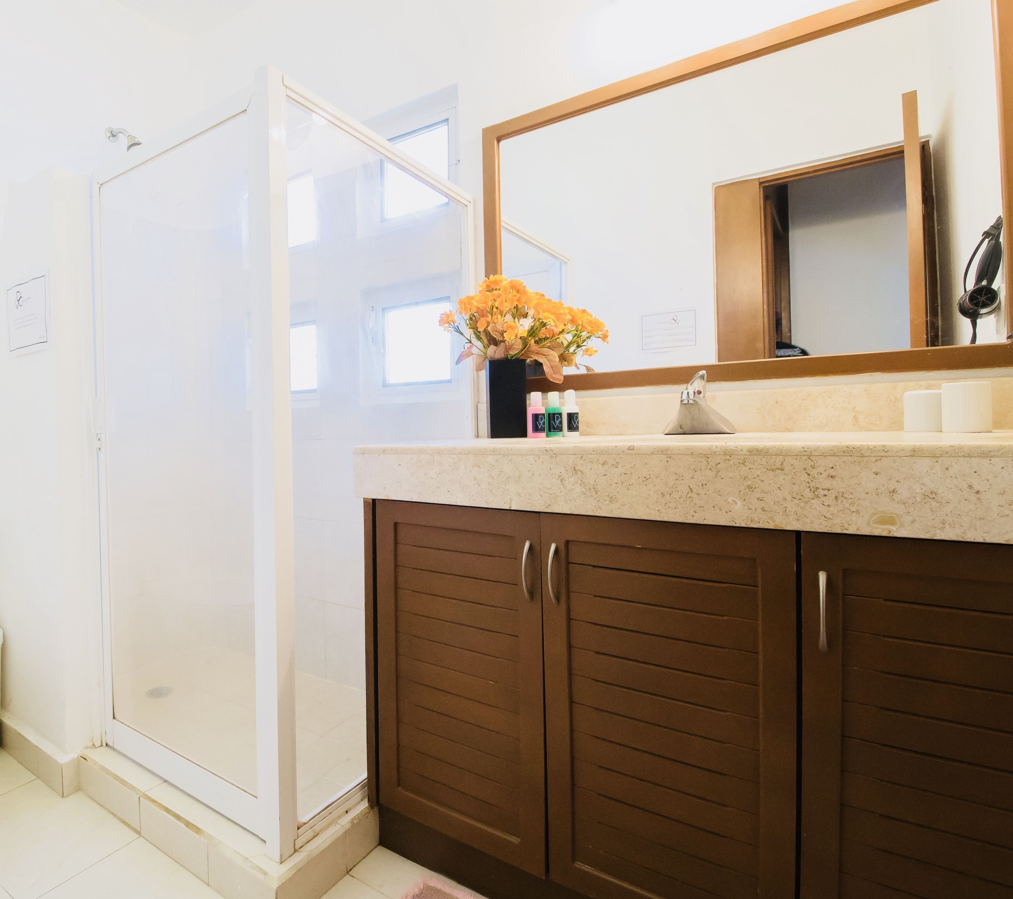 A bathroom with a shower, a sink with a mirror, and a vase of flowers.
