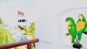A white building with a modern design, a pool, and two green parrots on a perch. - Dolce Vita Caribe B&B (Playa del Carmen)