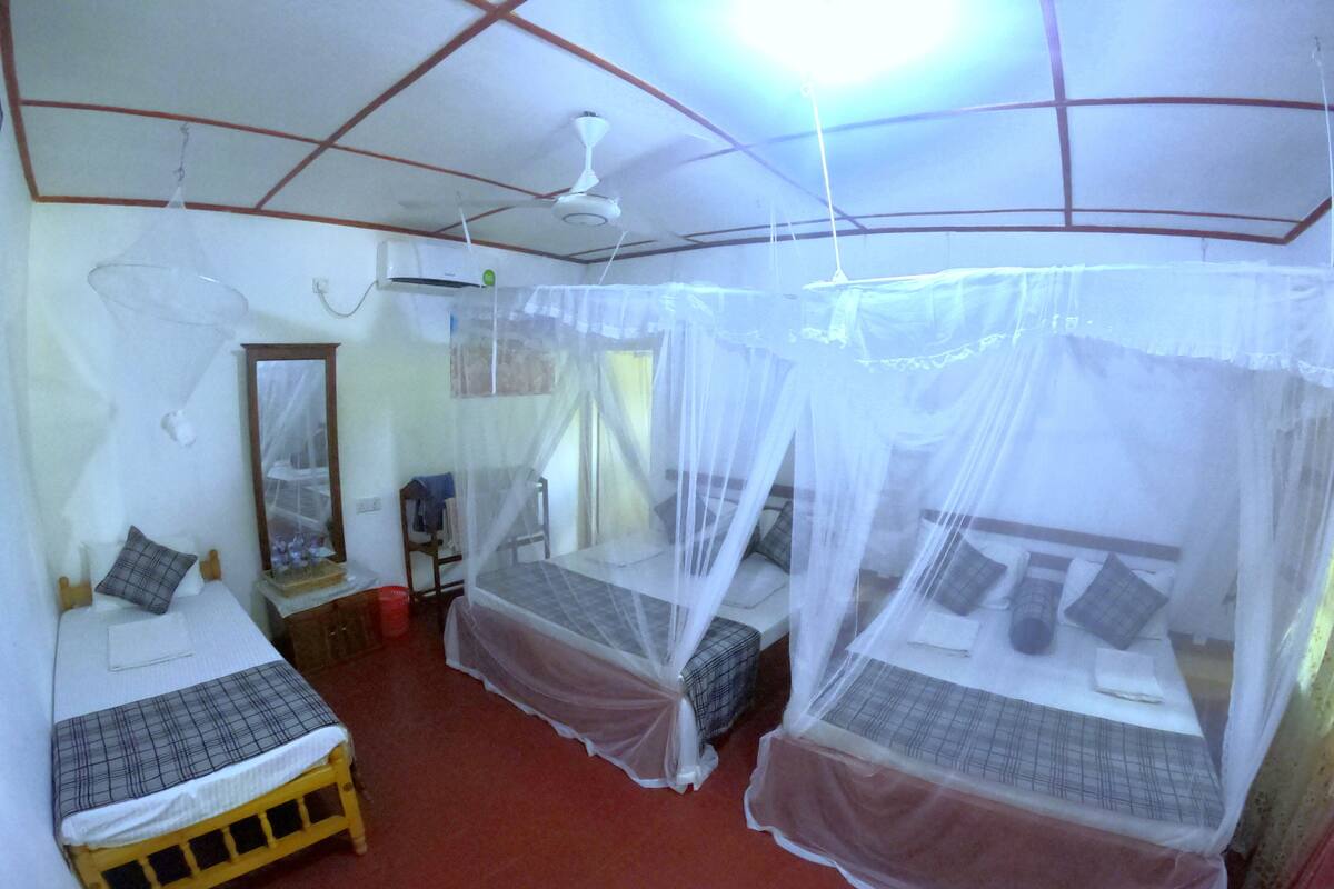 A room with two beds, each with a mosquito net, a ceiling fan, and a mirror on the wall.