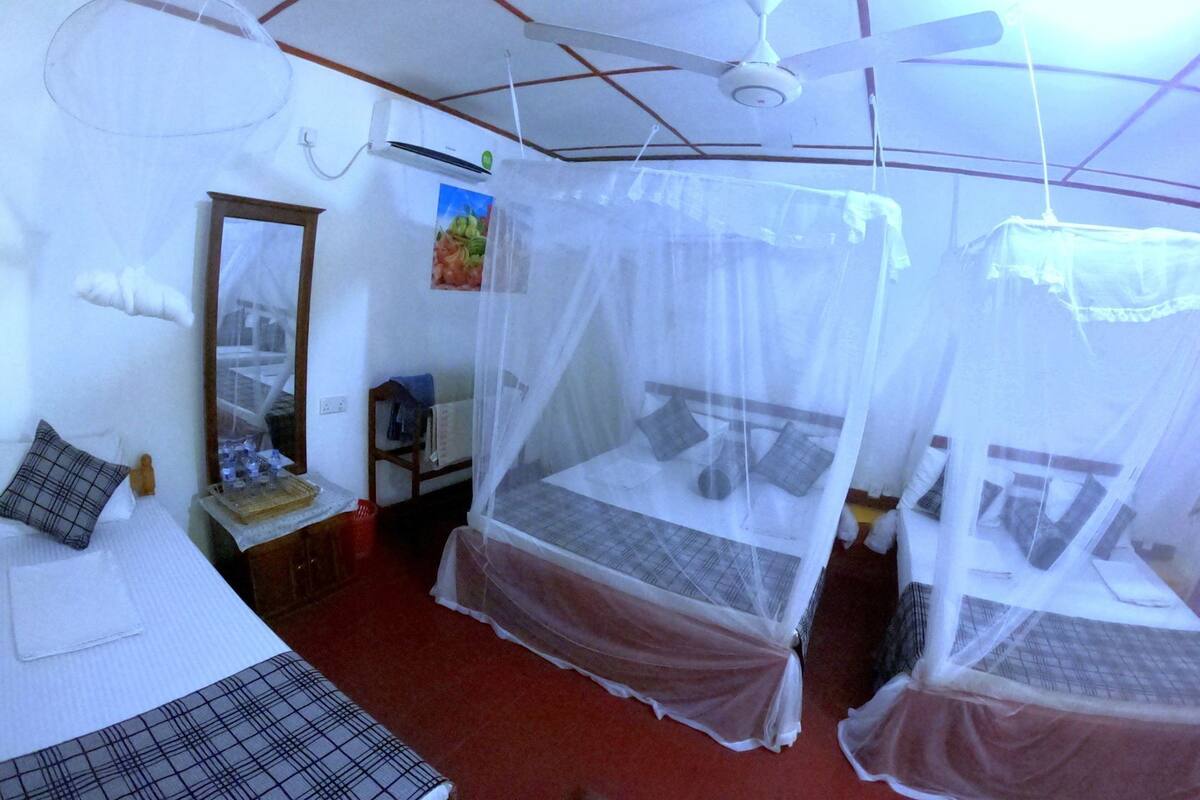 A room with two beds, a ceiling fan, an air conditioning unit, a mirror, and a red carpet.