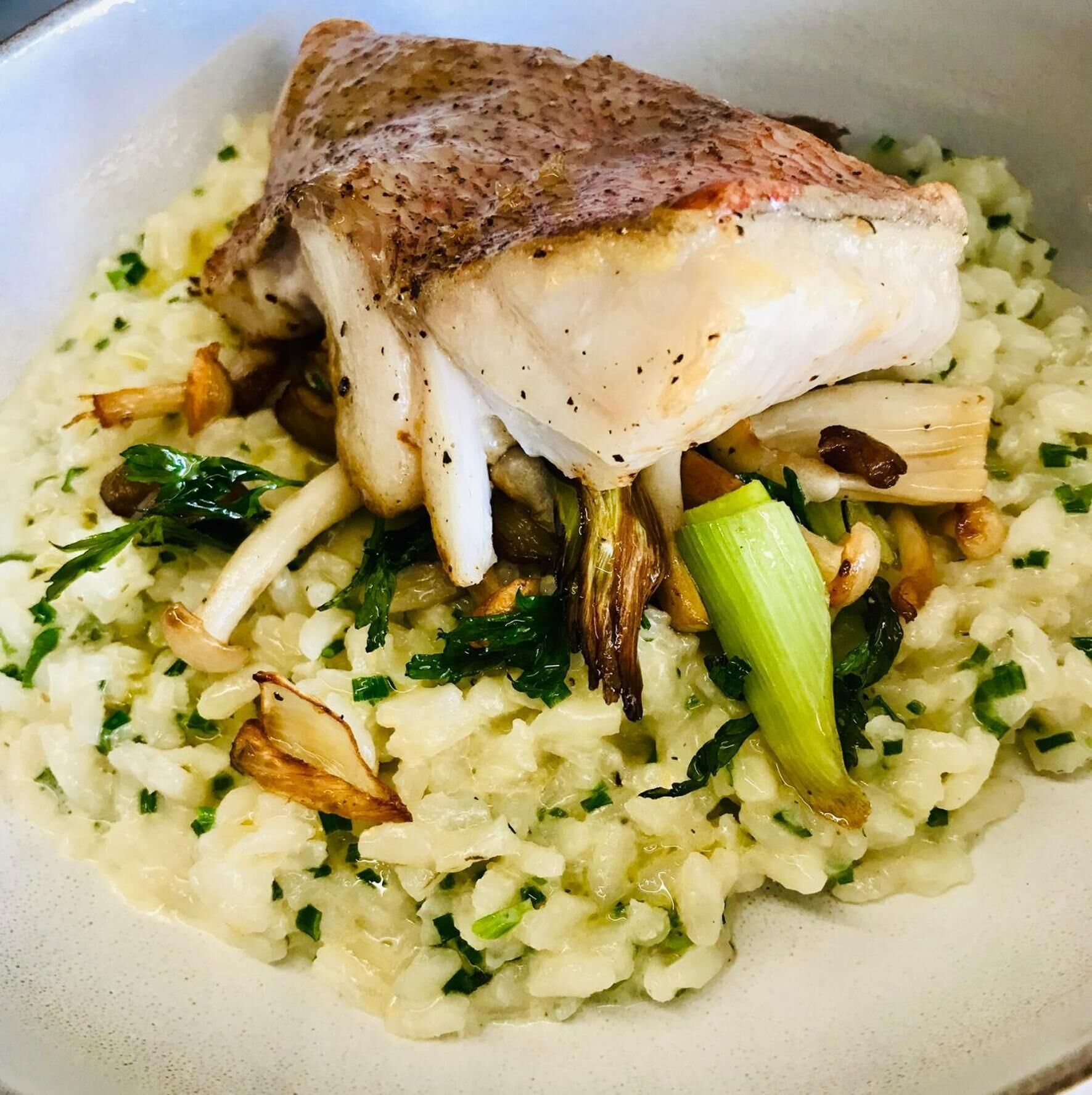 Ein Gericht mit pochiertem Fisch auf Risotto mit Pilzen und Lauch.
