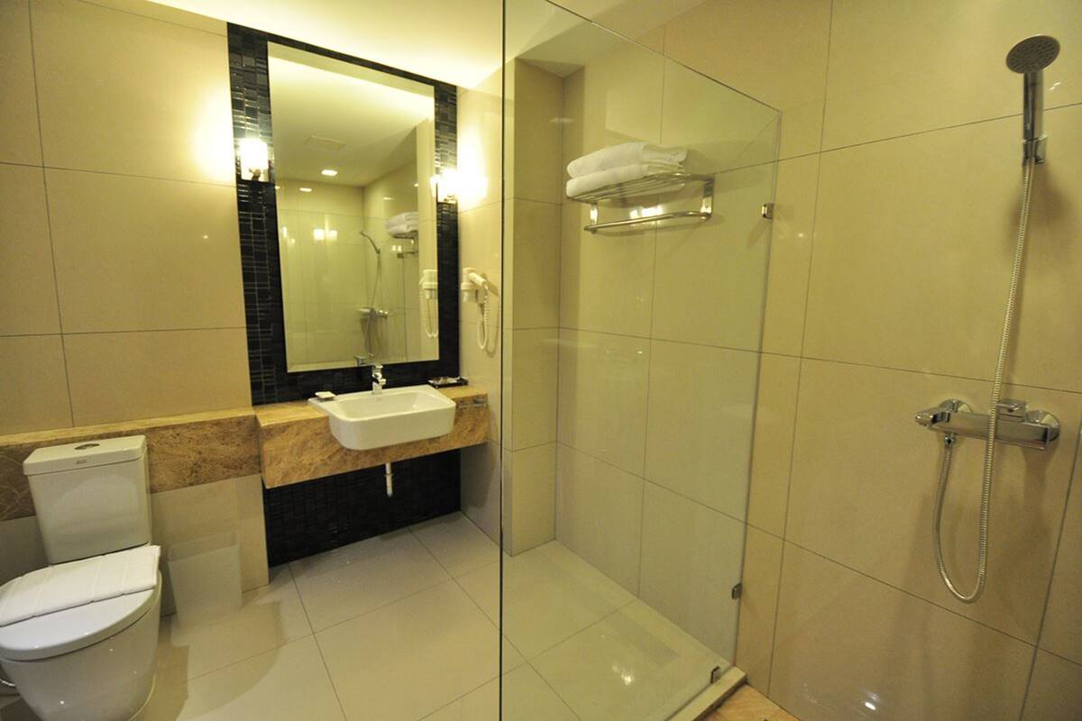 shower, free toiletries, hair dryer, towels