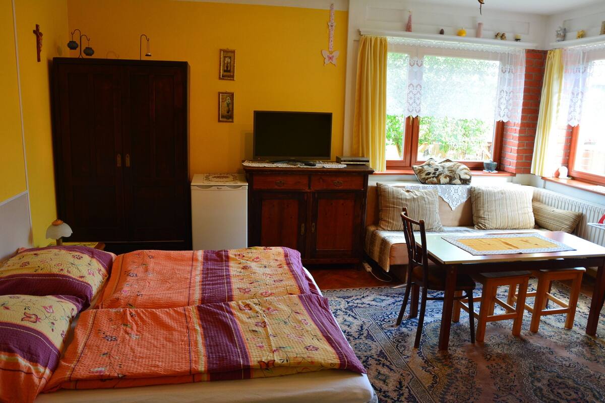 Una habitación con una cama, un escritorio, una silla, un televisor y un armario.