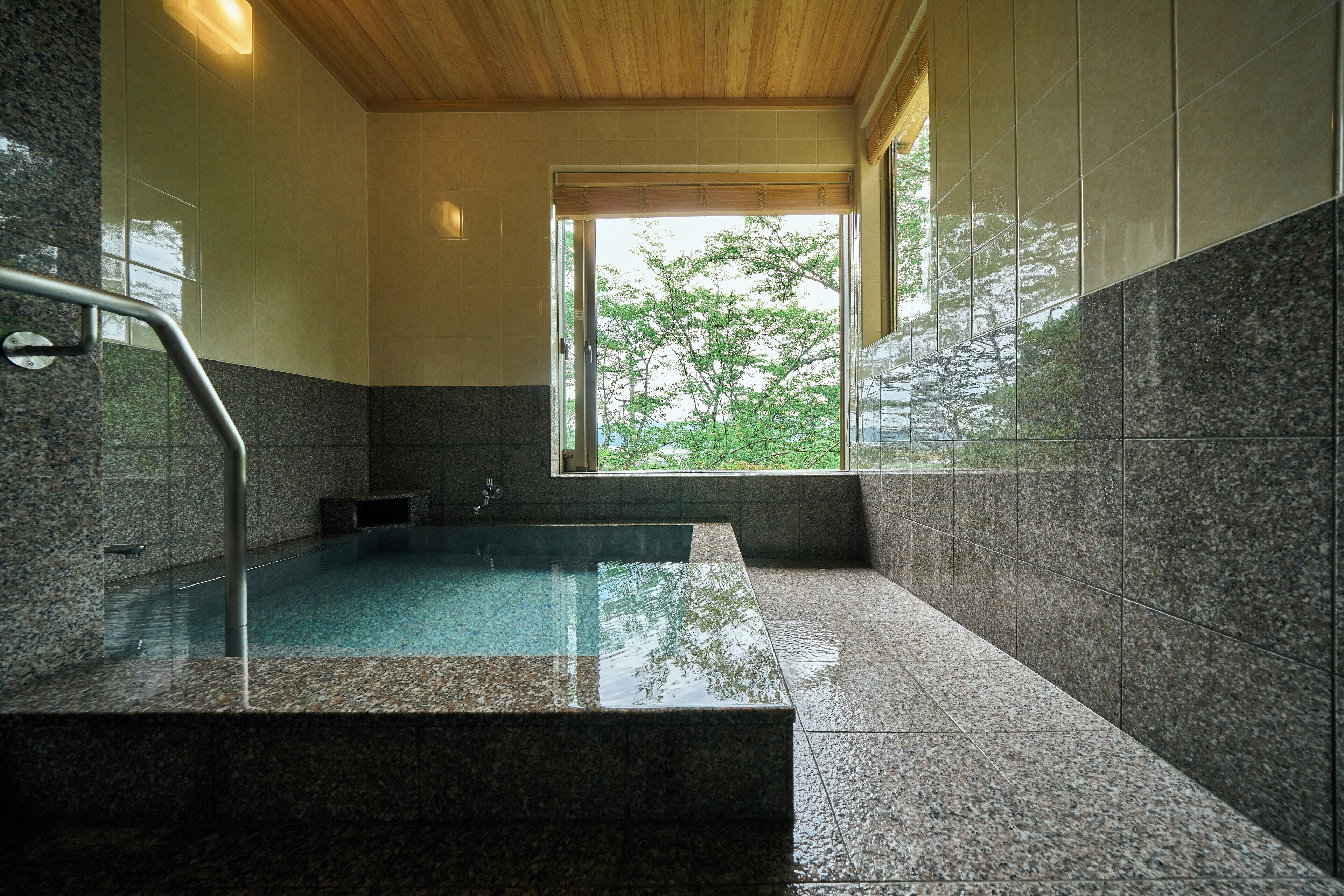 A modern indoor swimming pool with a view of trees through a window.