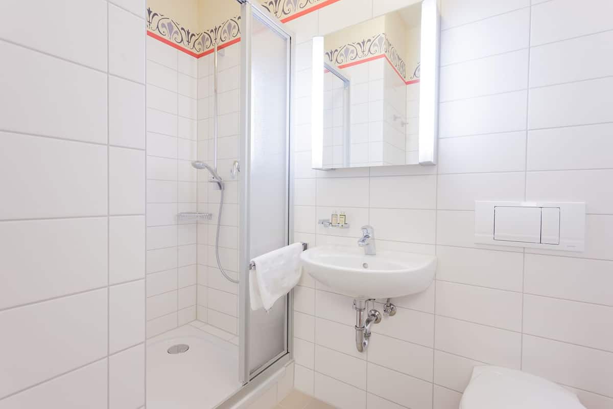 apartment, ensuite (burg gnandstein) | bathroom | shower, hair dryer