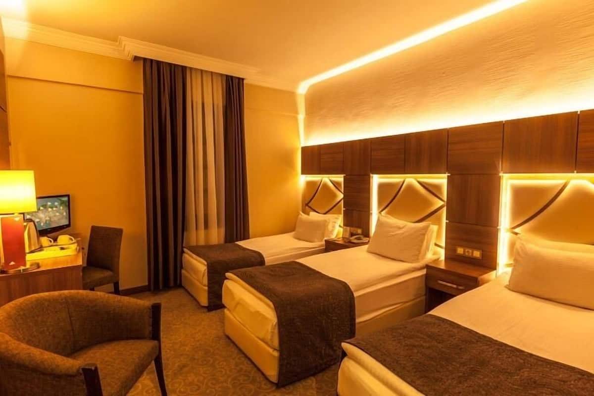 Habitación triple estándar | Minibar, caja fuerte, escritorio y sistema de insonorización