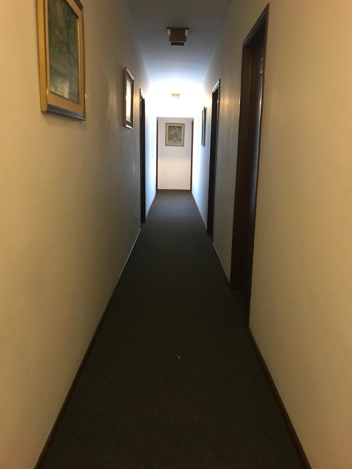 A narrow, carpeted hallway with doors on both sides, leading to a brightly lit room at the end.