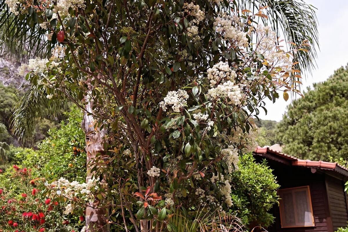 洋房, 2 間臥室 | 高級寢具、書桌、隔音、床單