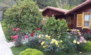 Garden - Cirali Hotel (Kemer)
