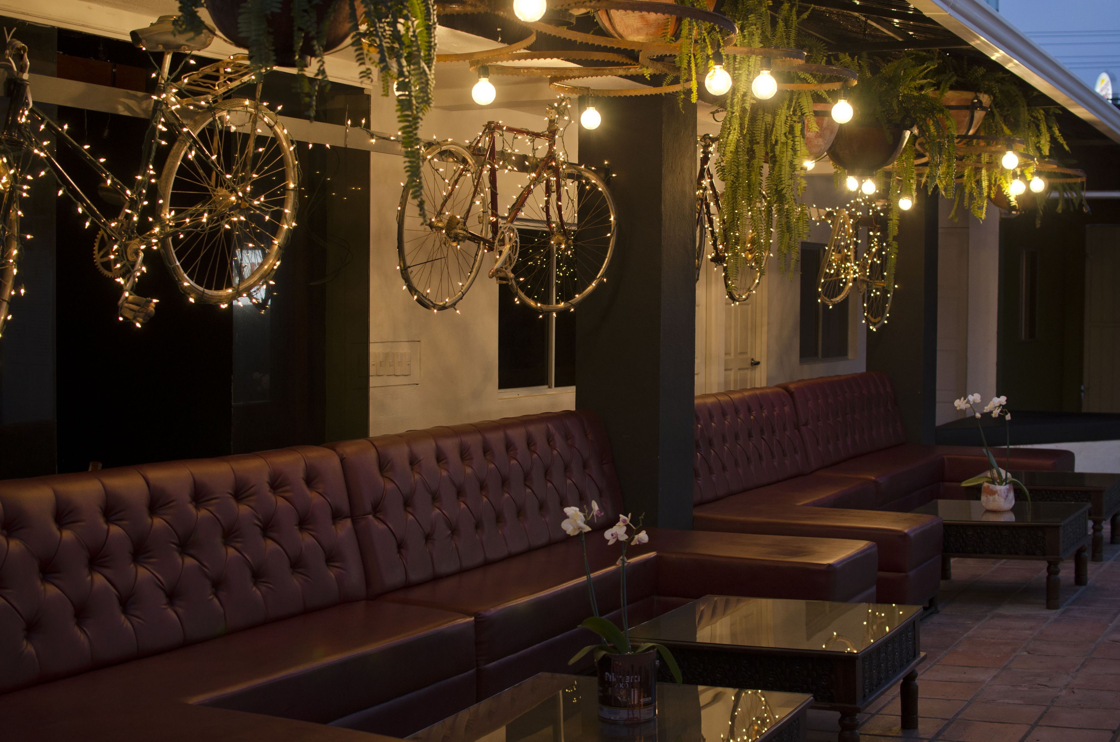 Bar (en la propiedad)