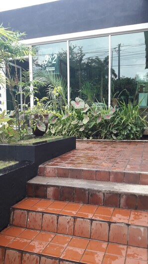 Exterior - Pachamama - Hotel - Hostel (Managua)