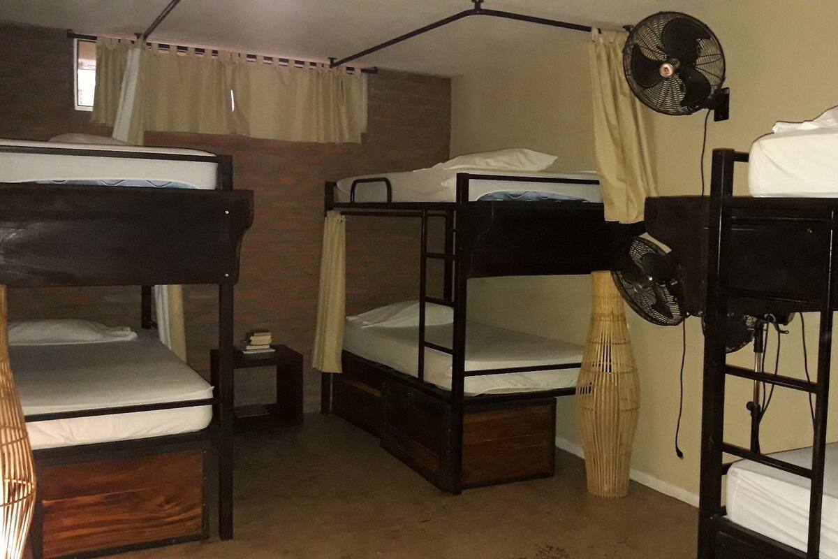 A dormitory room with bunk beds, a standing fan, a small bedside table, and a window with curtains.
