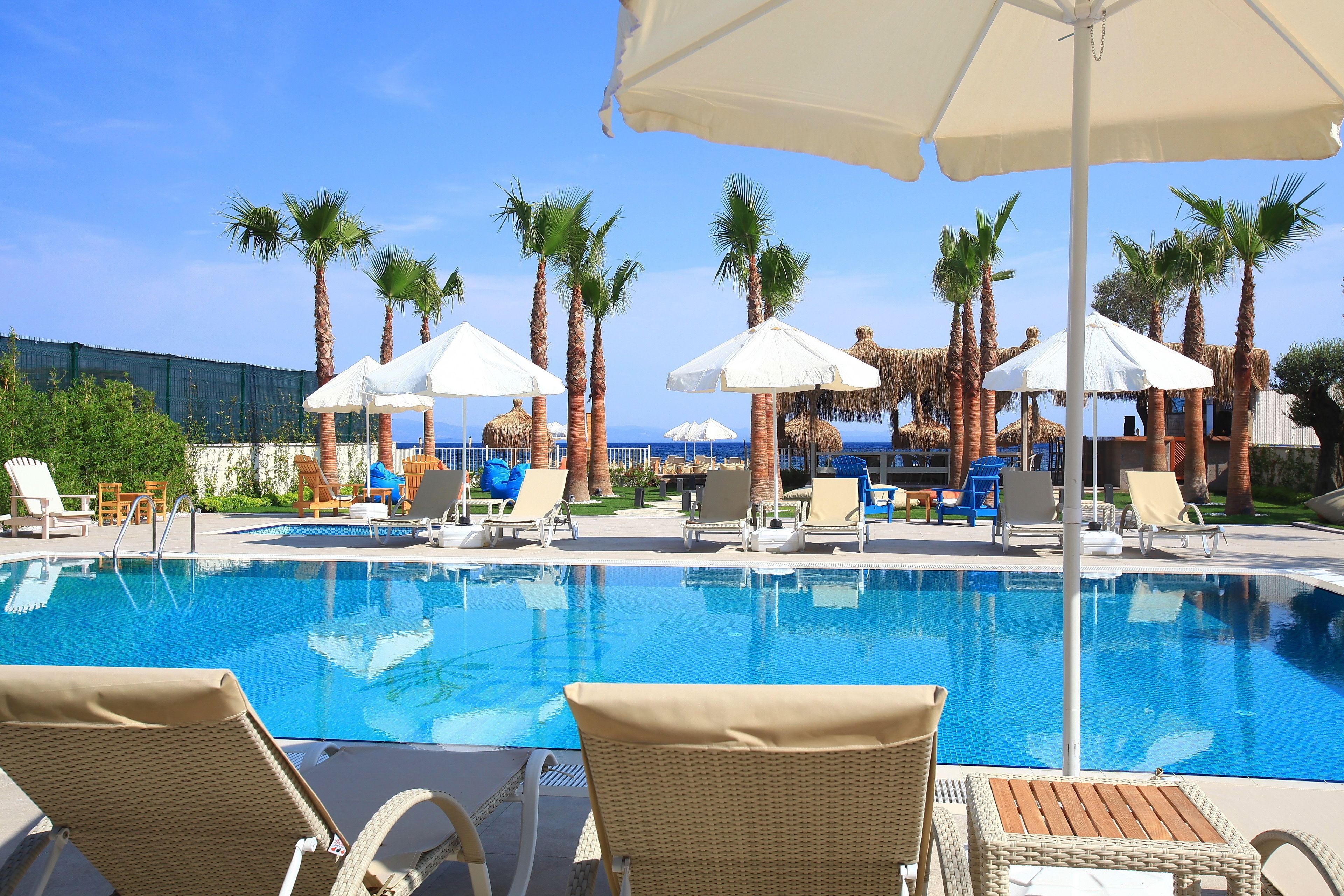 Alberca al aire libre y camastros 