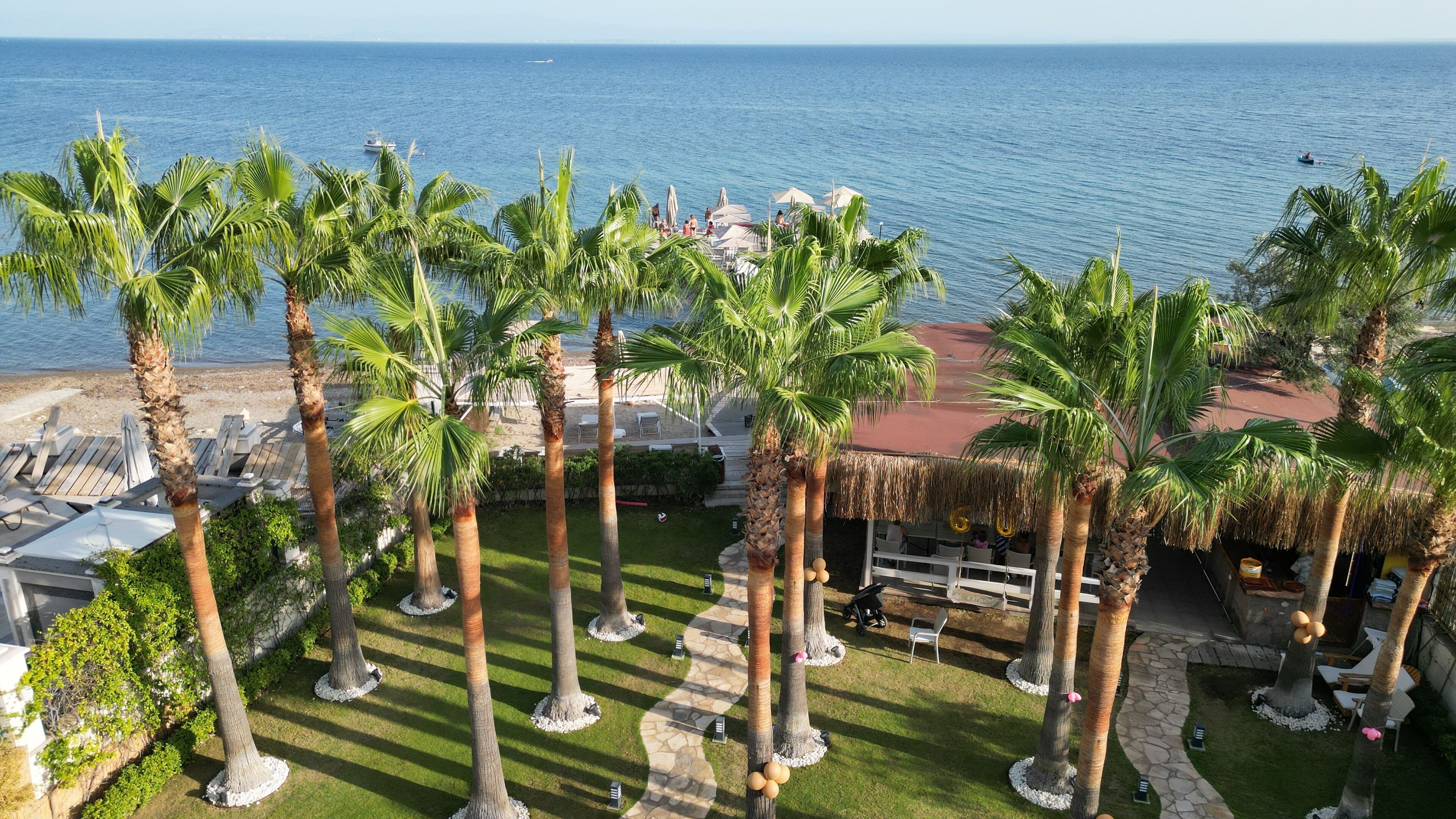 A resort with palm trees, a beach, and a view of the ocean.