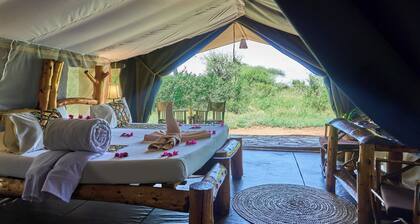 Ikoma tented Camp