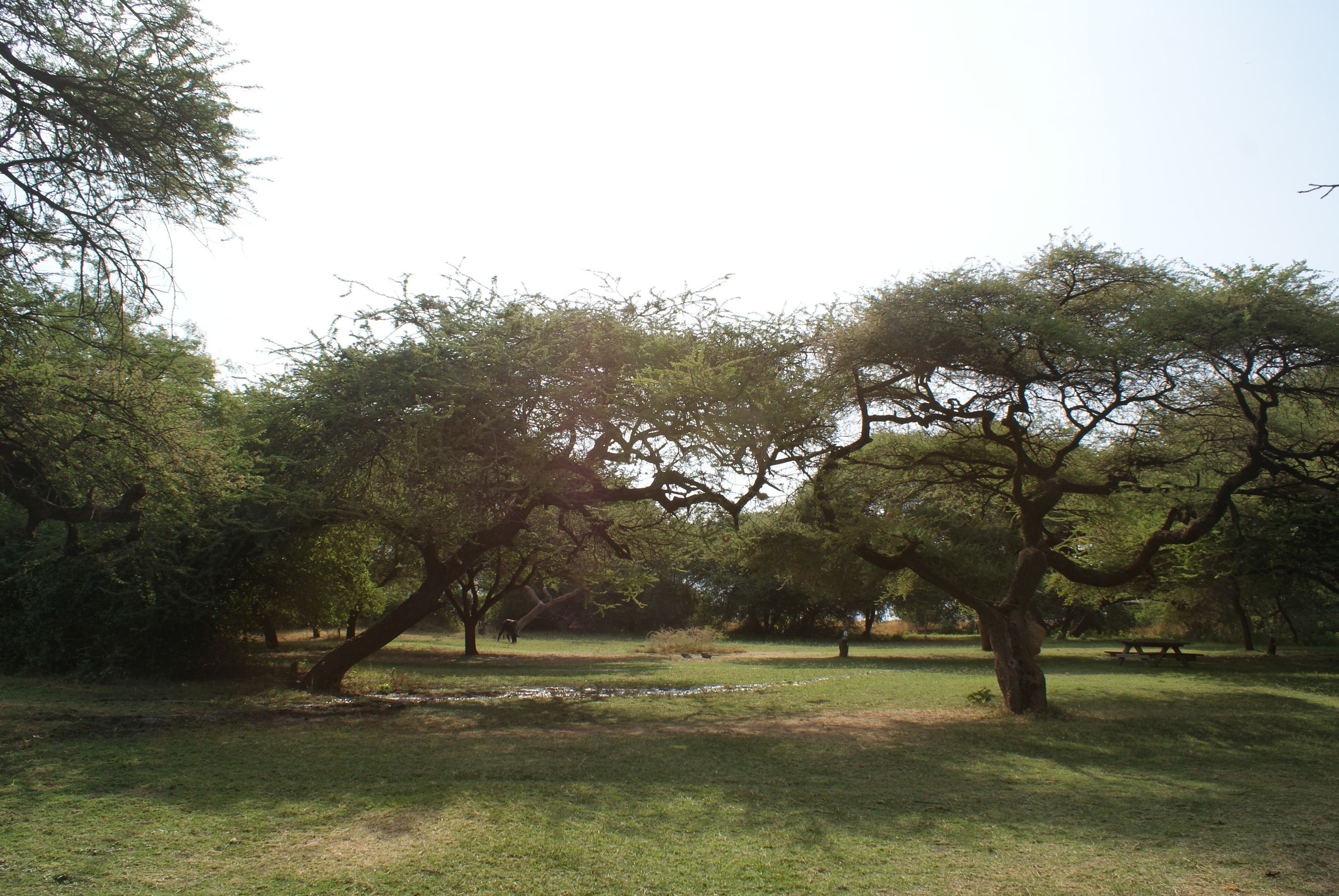 Jardín