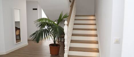 A staircase with wooden steps and white balusters, leading to an upper floor. A potted palm plant is placed on the floor near the staircase.