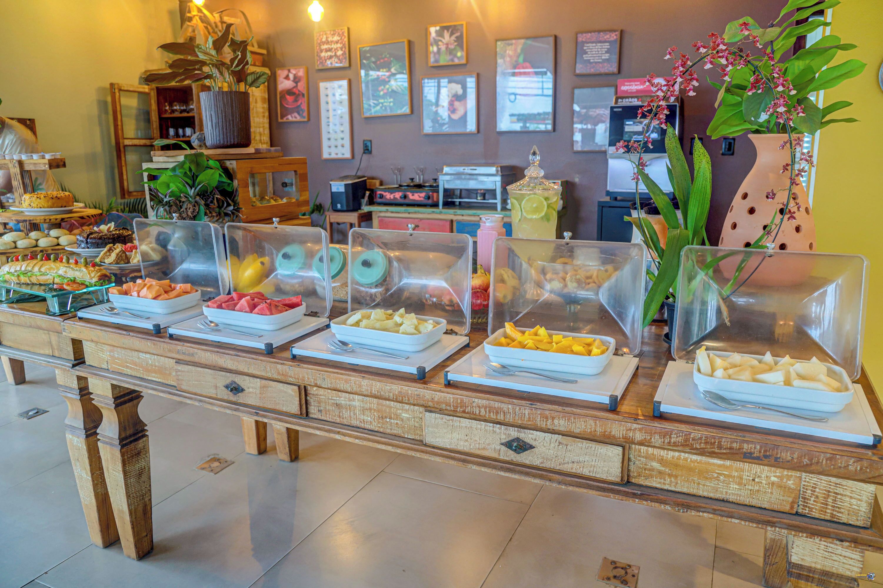 A buffet with various food items and a decorative plant.