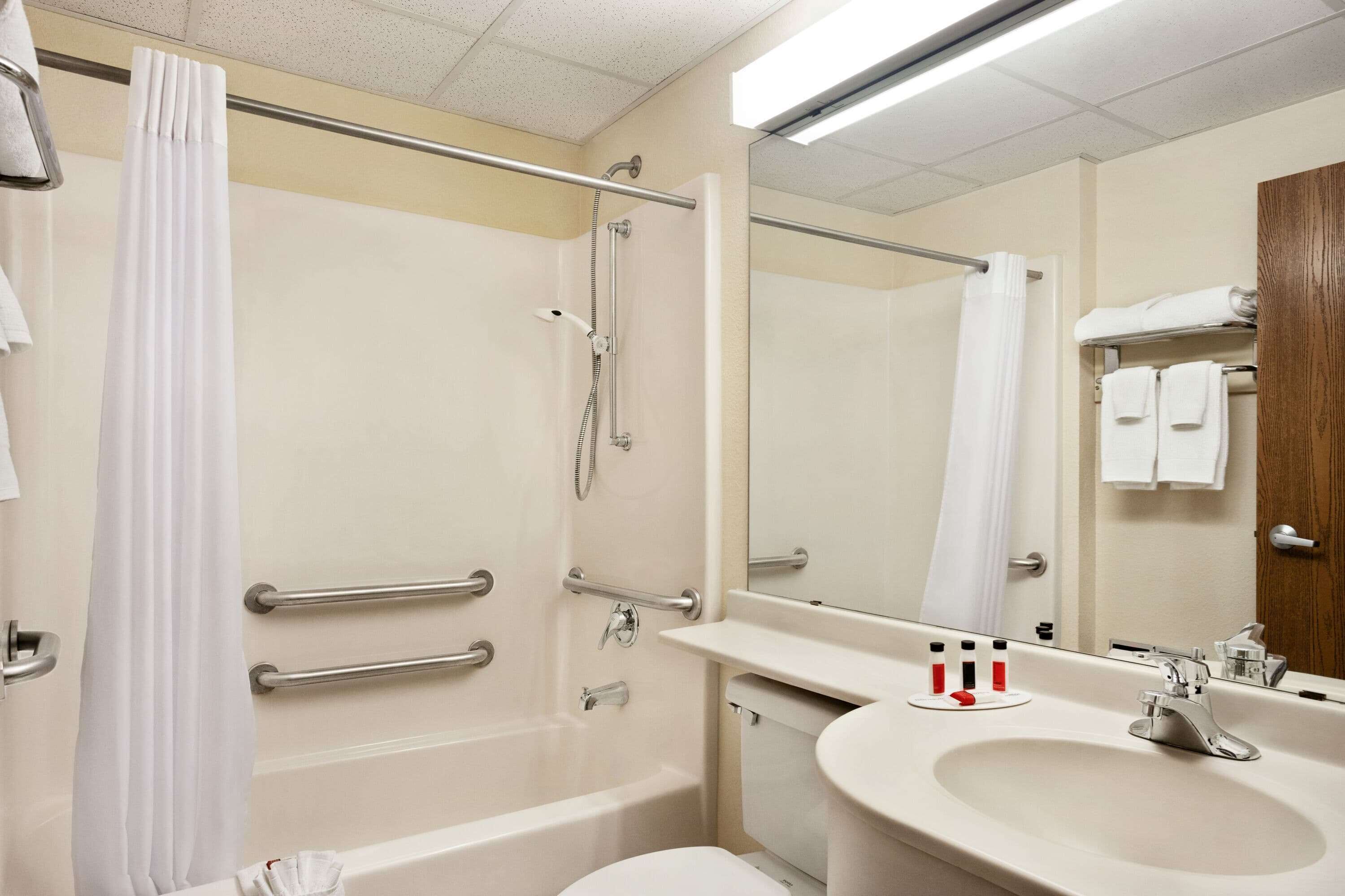 room, 1 queen bed, accessible, non smoking | bathroom | combined shower/bathtub, free toiletries, towels
