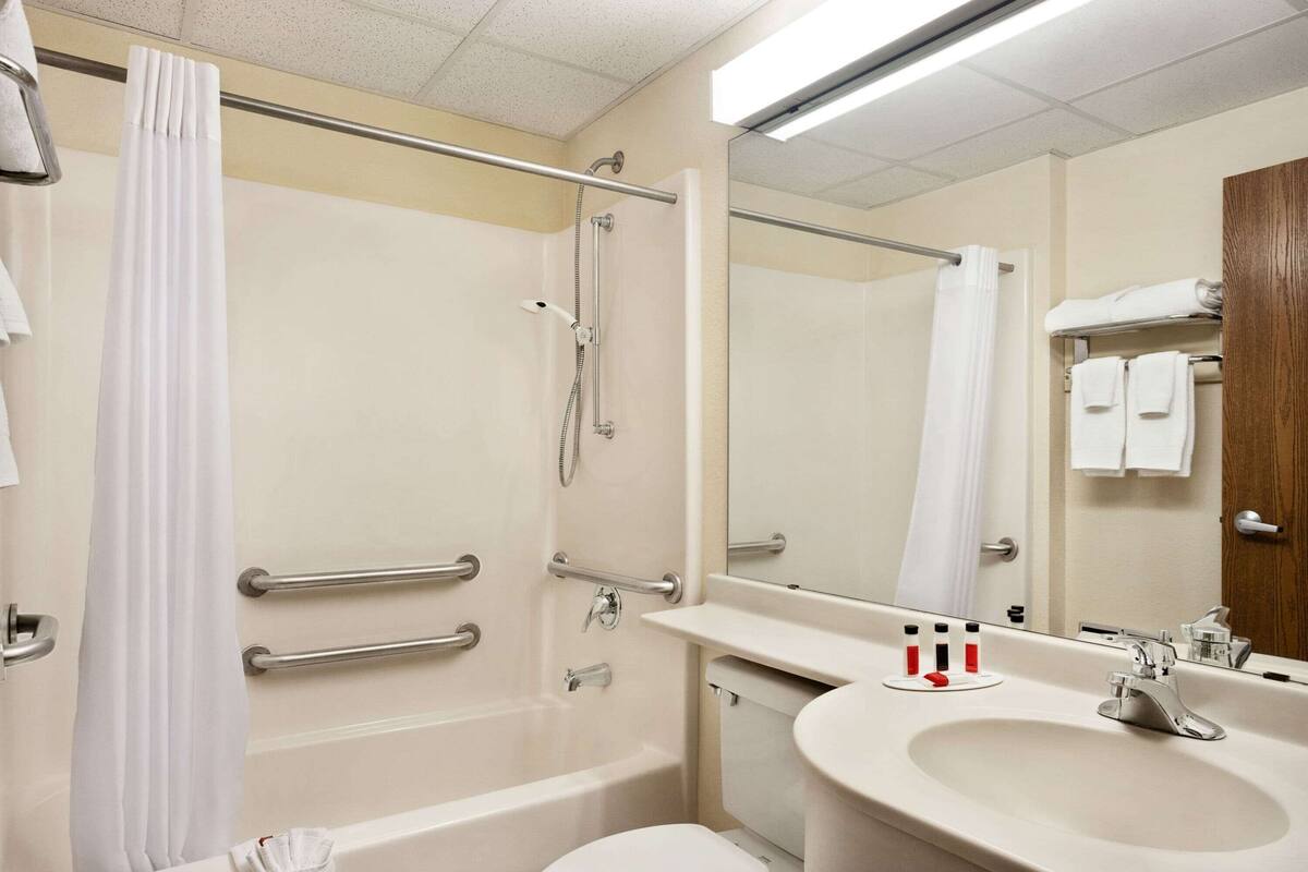 room, 1 queen bed, accessible, non smoking | bathroom | combined shower/bathtub, free toiletries, towels