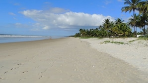 A beach with footprints, palm trees, and a clear sky. - Marinas Pousada (Ilhéus)