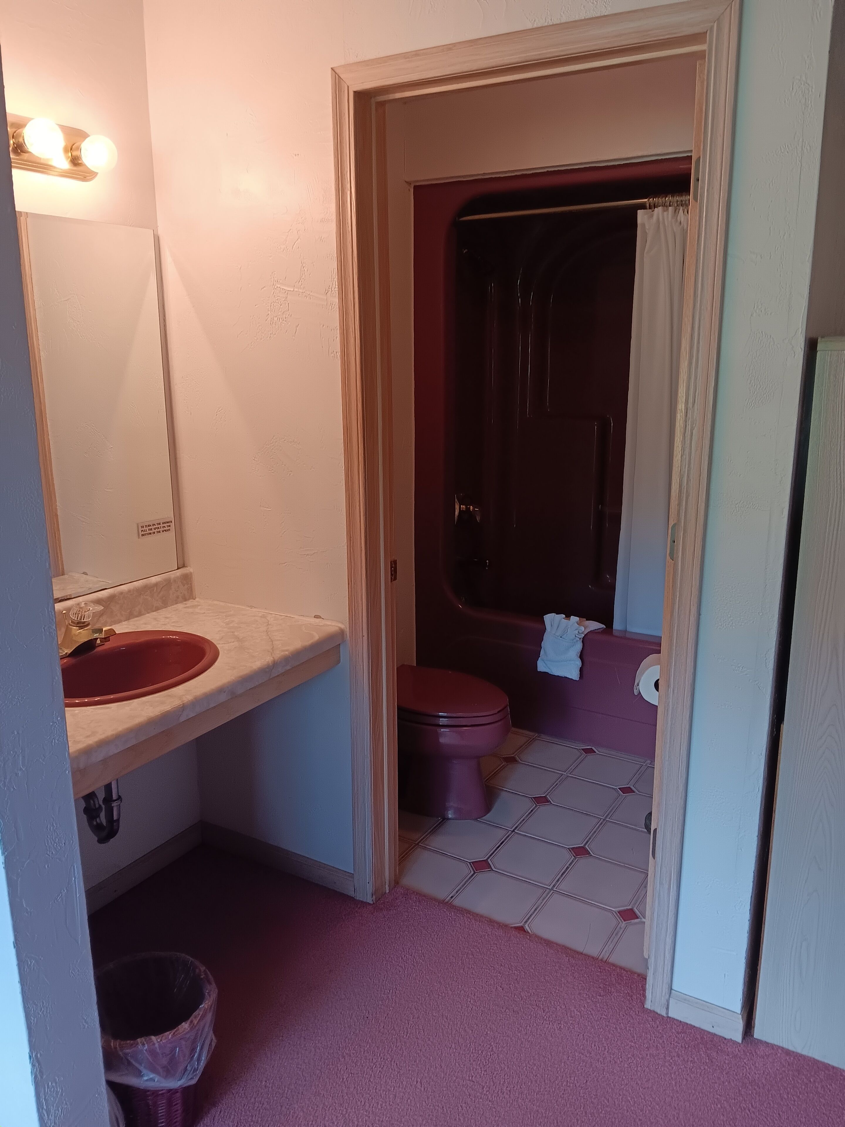 A bathroom with a red sink, a toilet, and a shower area.