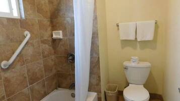A bathroom with a bathtub, a toilet, and a shower.