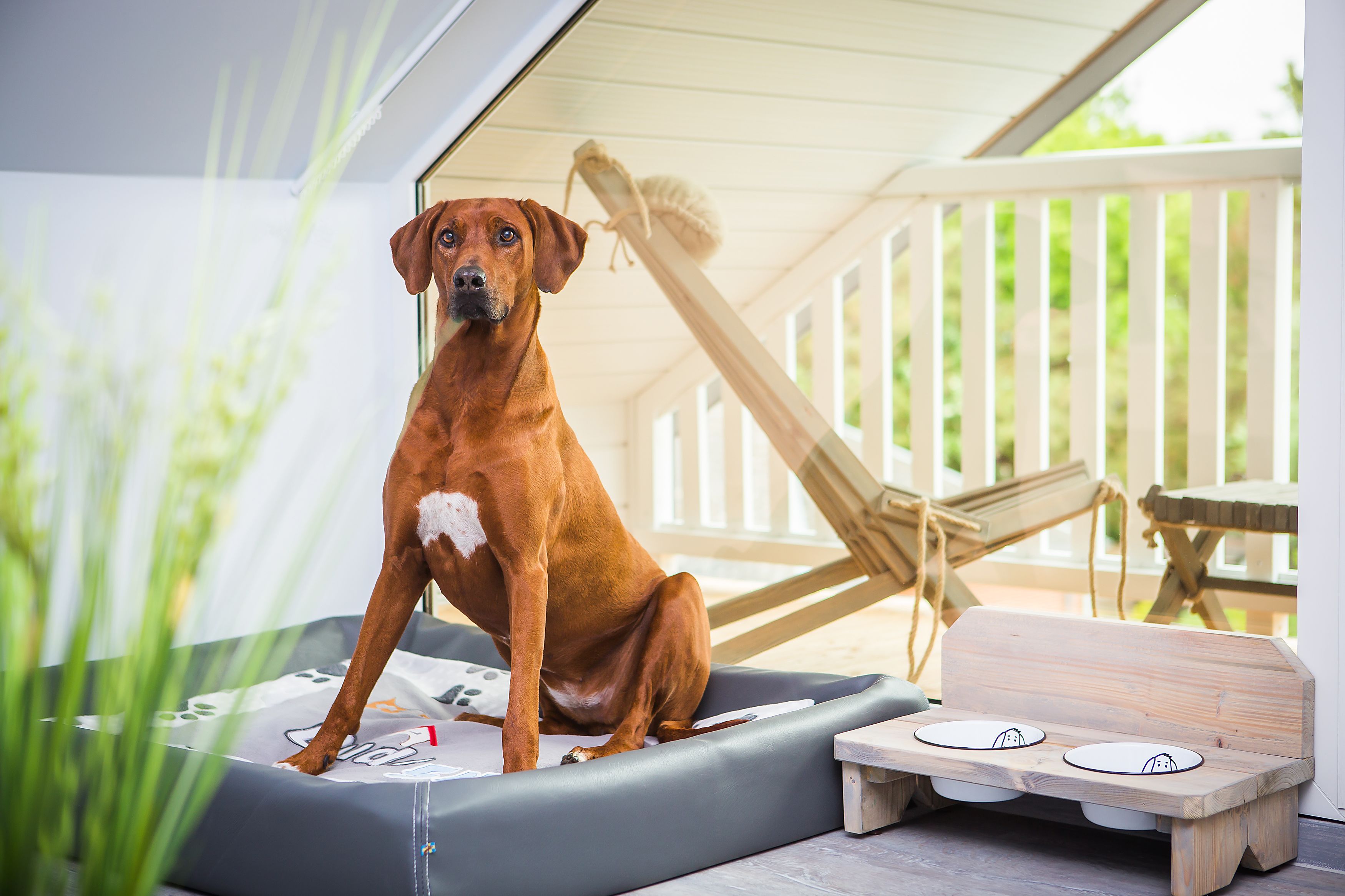 Vue depuis le balcon