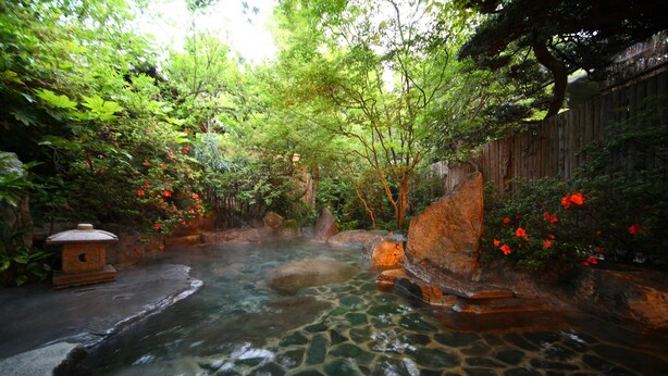 A serene garden with a clear water stream, surrounded by lush greenery and red flowers.