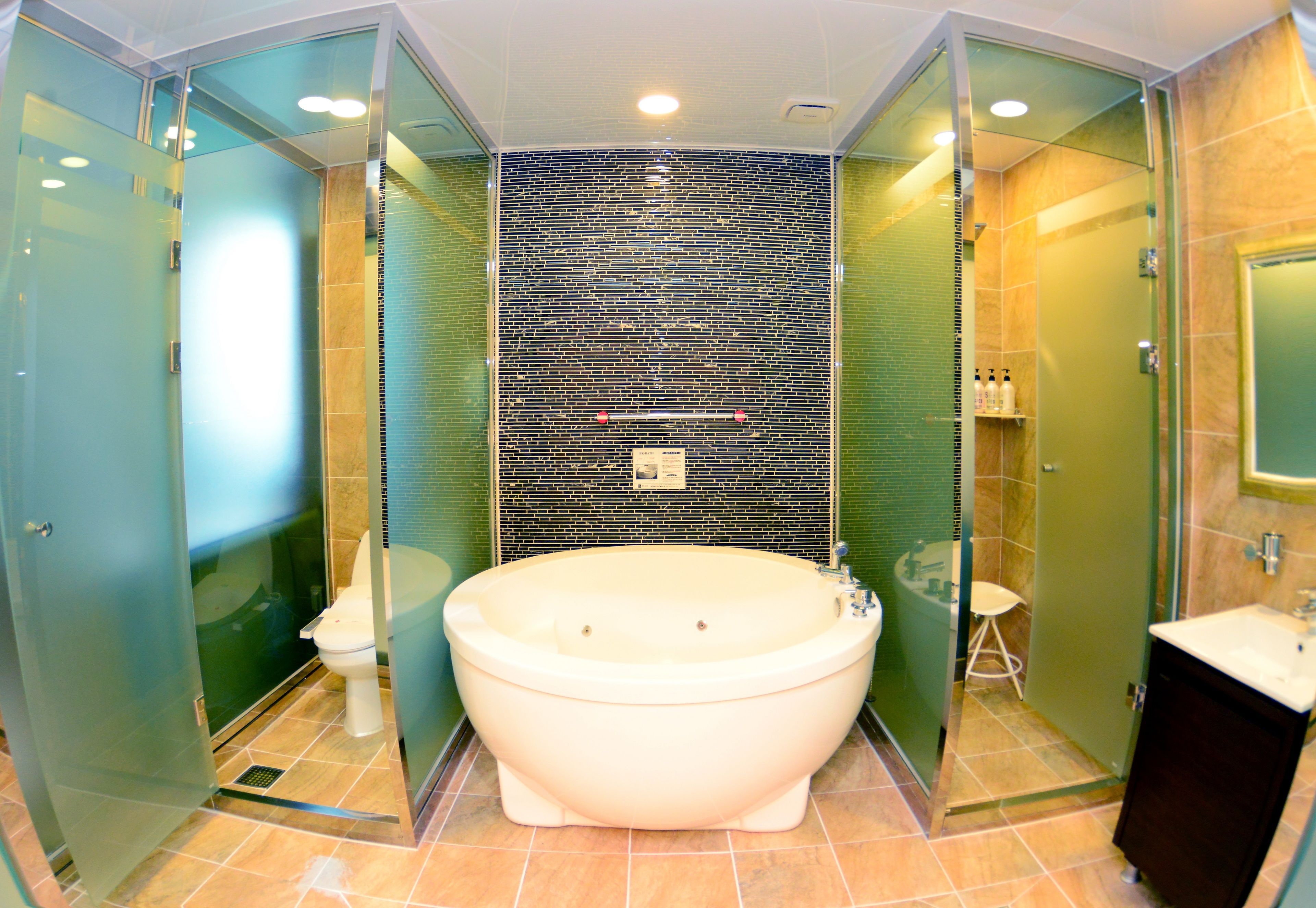 deluxe double room | bathroom shower